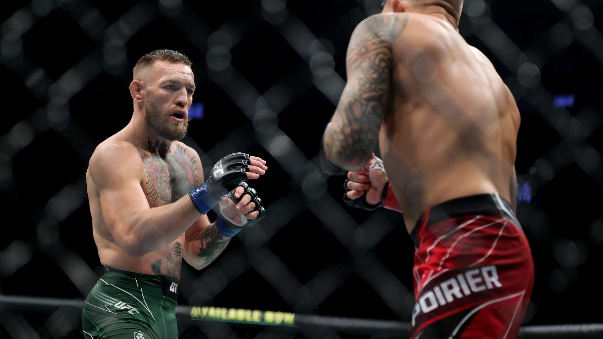 素質和適應 素質和適應